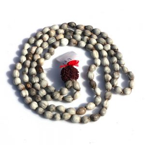 Original Vaijayanti Beads Certified Natural Japa Mala 108
