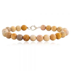 Natural Fossilized Coral Reiki Crystal Semi Precious Stone Bracelet