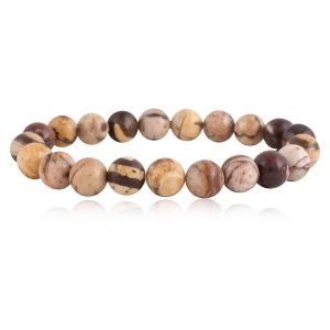 Natural Reiki Zebra Jasper Semi Precious Stone Compassion Bracelet