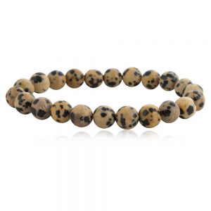 Natural Dalmation Jasper Reiki Crystal Semi Precious Stone Bracelet
