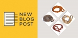 Rudraksha Mala – Everything You Need To Know